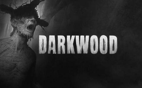 阴暗森林 Darkwood|中文版|本体+v1.0.3升补|XCI整合即撸版