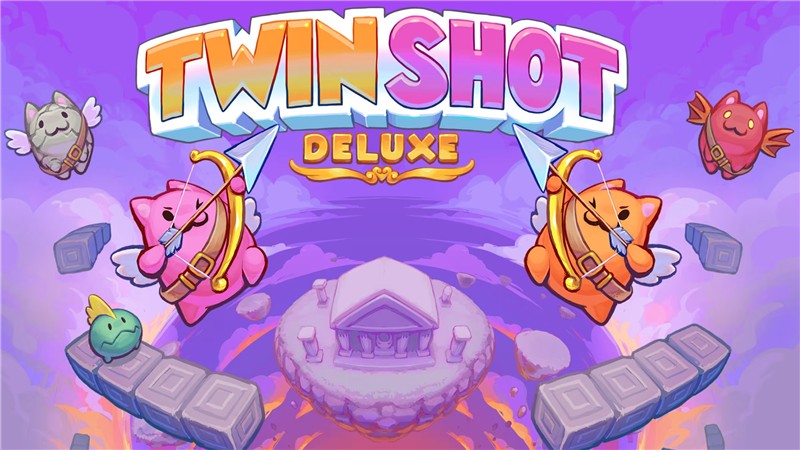 双箭头 Twin Shot Deluxe|中文版|原版|NSP