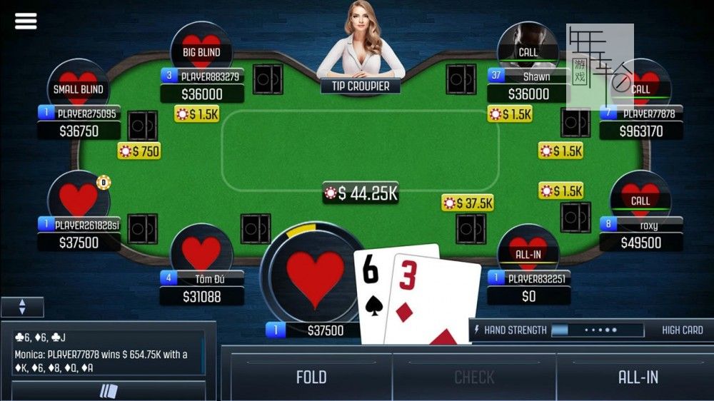 Poker Texas&Omaha Hold’em/官方中文/[NSP-XCI][原版+魔改11.0.0]