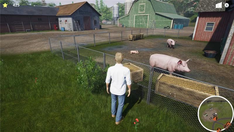 我的生活：农场兽医 My Life Farm Vet|英文版|本体+v1.0.1升补|XCI整合即撸版