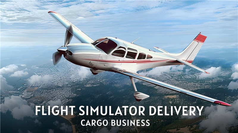 飞行模拟器投递：货运业务 Flight Simulator Delivery Cargo Business|英文版|原版|NSP