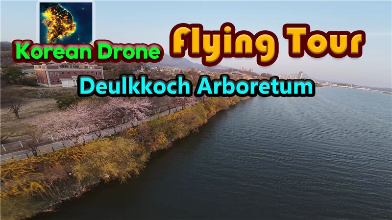 韩国无人机飞行：游览野花树木园 Korean Drone Flying Tour Deulkkoch Arboretum|中文版|原版|NSP
