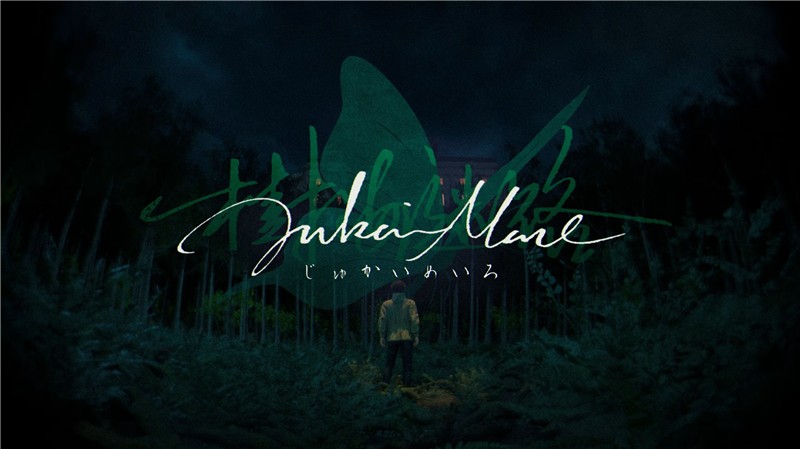 树海迷宫 Jukai Maze|中文版|原版|NSP