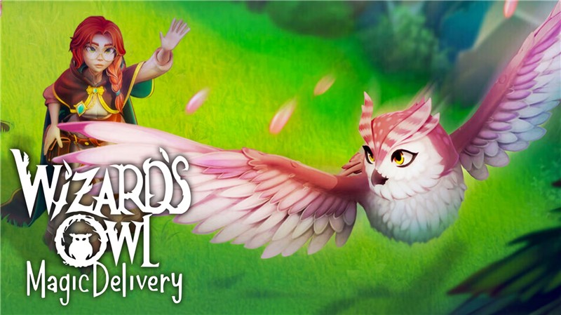 巫师猫头鹰：魔法传递 Wizards Owl Magic Delivery|英文版|原版|NSP