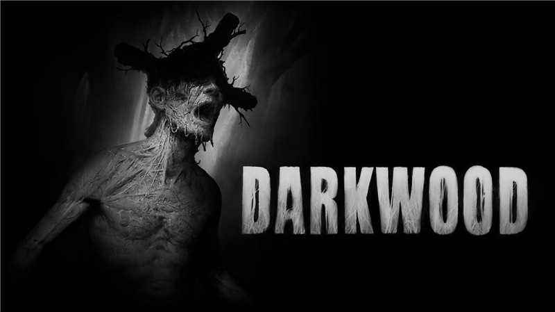 黑暗森林 Darkwood|中文版|原版|NSP