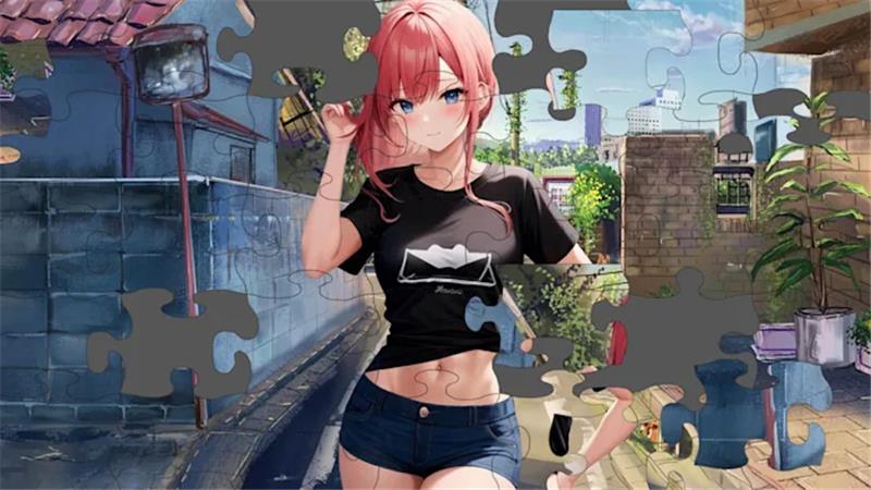 动漫性感女孩益智 Anime Sexy Girl Puzzle|英文版|原版|NSP