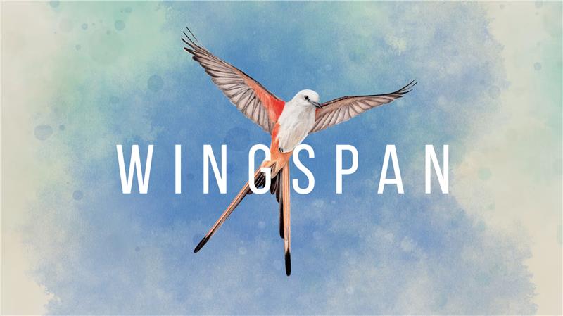 展翅翱翔 Wingspan|中文版|本体+v1.6.567升补+3DLC|XCI整合即撸版