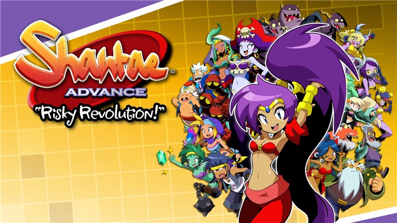桑塔高级版：高风险革命 Shantae Advance: Risky Revolution|英文版|原版|NSP
